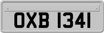 OXB1341