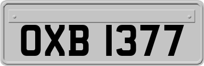 OXB1377