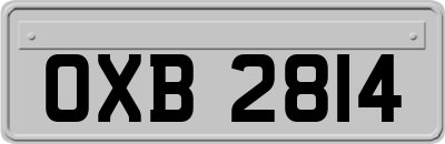 OXB2814