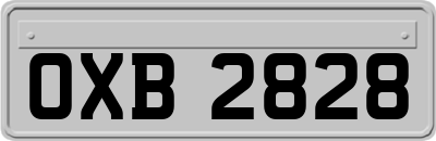 OXB2828