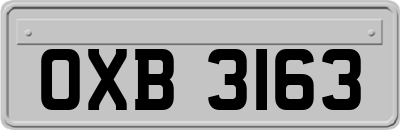OXB3163