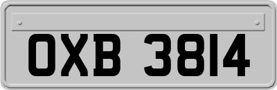 OXB3814