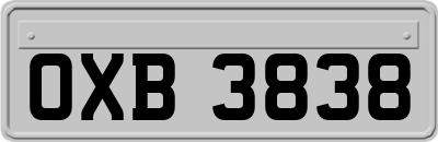 OXB3838