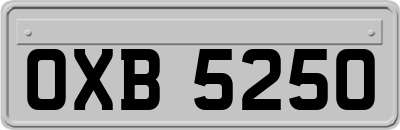 OXB5250