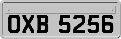 OXB5256