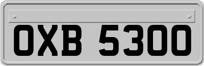 OXB5300