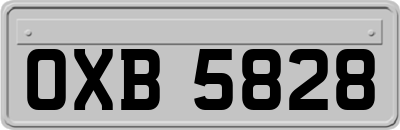 OXB5828