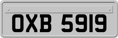 OXB5919