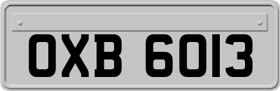 OXB6013