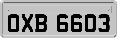 OXB6603