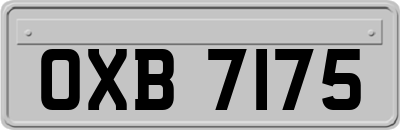 OXB7175