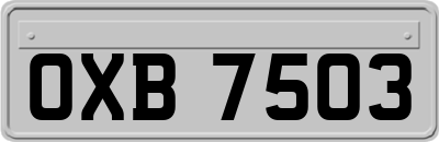 OXB7503