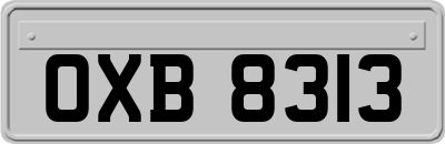 OXB8313