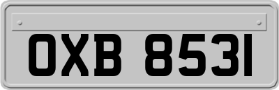 OXB8531