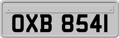 OXB8541