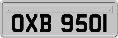 OXB9501