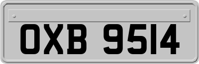 OXB9514