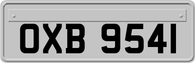 OXB9541