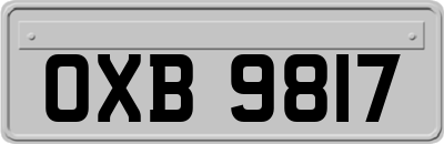 OXB9817