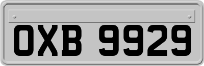 OXB9929