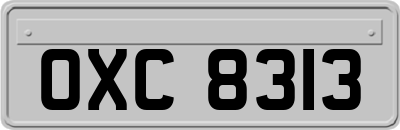 OXC8313