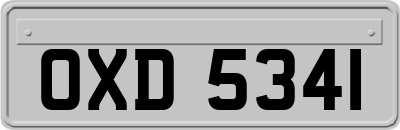 OXD5341