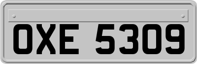 OXE5309