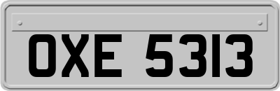 OXE5313