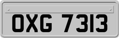 OXG7313
