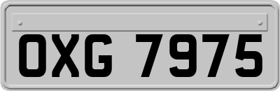 OXG7975