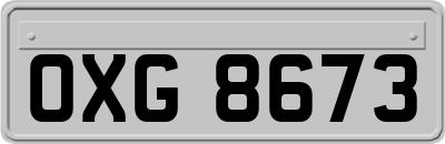 OXG8673
