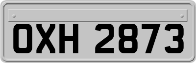 OXH2873