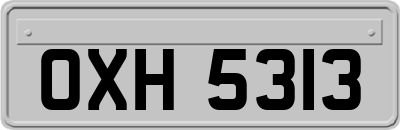 OXH5313