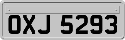 OXJ5293