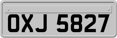 OXJ5827