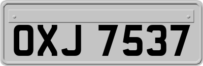 OXJ7537
