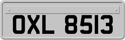 OXL8513