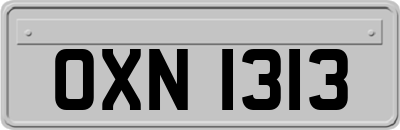 OXN1313