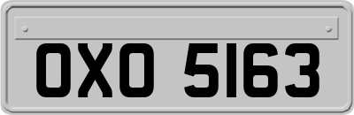 OXO5163