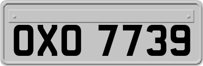 OXO7739