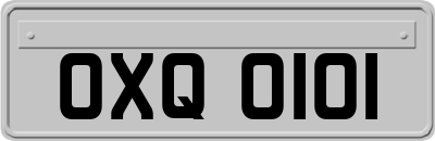 OXQ0101