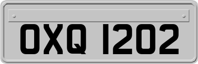 OXQ1202