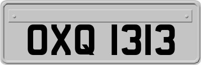 OXQ1313