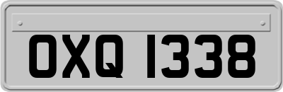 OXQ1338