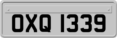 OXQ1339