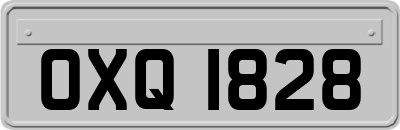 OXQ1828