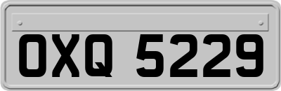OXQ5229