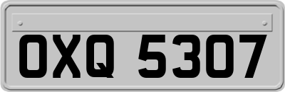OXQ5307