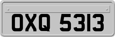 OXQ5313