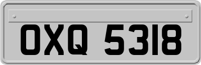 OXQ5318